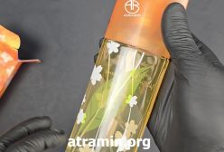 الیزابت آردن گرین تی نکترین بلوسوم