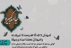 شرح زیارت جامعه کبیره استاد مهندسی ره ج 153