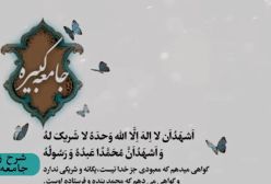 شرح زیارت جامعه کبیره استاد مهندسی ره ج 166