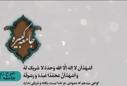 شرح زیارت جامعه کبیره استاد مهندسی ره ج 241