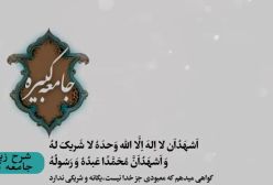 شرح زیارت جامعه کبیره استاد مهندسی ره ج 234