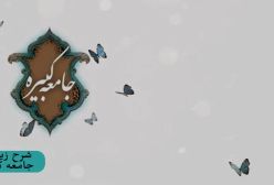 شرح زیارت جامعه کبیره استاد مهندسی ره ج 246
