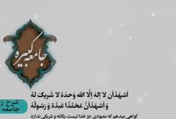 شرح زیارت جامعه کبیره استاد مهندسی ره ج 264