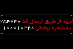 خرید دزدگیر تلفن کننده + دزدگیر منزل چی بخرم