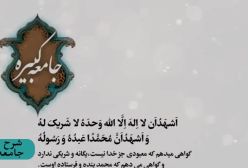 شرح زیارت جامعه کبیره استاد مهندسی ره ج 308