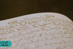 زیارت جامعه کبیره 329