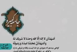 شرح زیارت جامعه کبیره استاد مهندسی ره ج 379