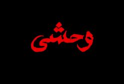 دانلود فیلم سینمایی (وحشی) با کیفیت بالا vahshy